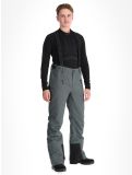 Thumbnail Tenson, Brendon Ski ski pants men Grey Green grey 