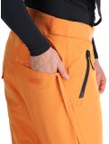 Thumbnail Tenson, Prime Pro ski pants men Dark Orange orange 