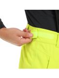 Thumbnail Tenson, Radient ski pants men light green