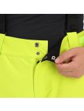 Thumbnail Tenson, Radient ski pants men light green