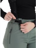 Thumbnail Whistler, Drizzle ski pants women Laurel Wreath green 