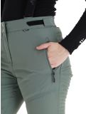 Thumbnail Whistler, Drizzle ski pants women Laurel Wreath green 