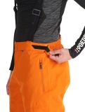 Thumbnail Whistler, Drizzle ski pants men Autumn Maple orange 