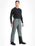 Thumbnail Whistler, Drizzle ski pants men Balsam Green green 