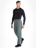 Thumbnail Whistler, Drizzle ski pants men Balsam Green green 