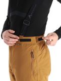 Thumbnail Whistler, Drizzle ski pants men Rubber brown 