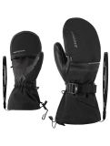 Thumbnail Ziener, Gallinus AS ski gloves men Black black 