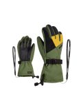 Thumbnail Ziener, Lani Gtx ski gloves kids tir green 