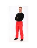 Thumbnail Dare2b, Certify 4-way stretch ski pants, Men, Seville red