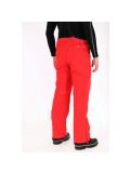 Thumbnail Dare2b, Certify 4-way stretch ski pants, Men, Seville red