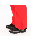 Thumbnail Dare2b, Certify 4-way stretch ski pants, Men, Seville red