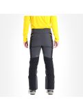 Thumbnail Spyder, Lech, softshell ski pants, men, ebony yellow/grey