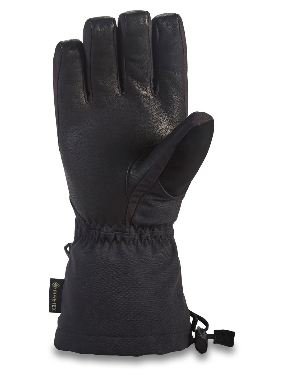 Dakine, Leather Sequoia Gore-Tex ski gloves women Black black 