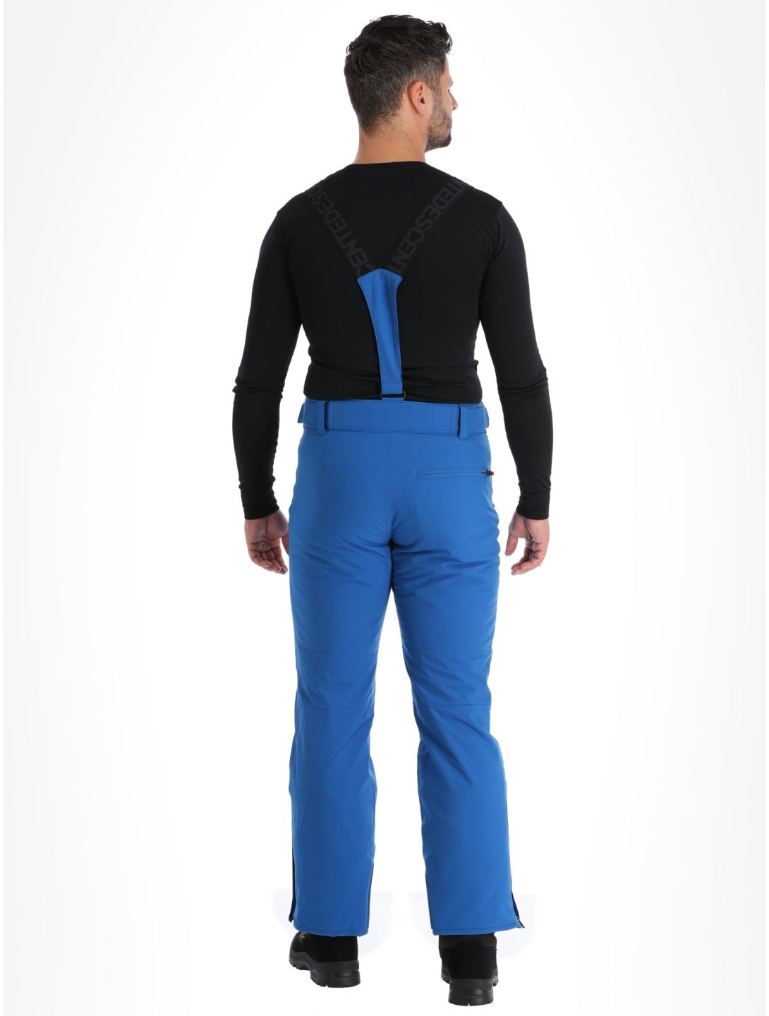 Descente, Roscoe ski pants men Laps Blue blue 