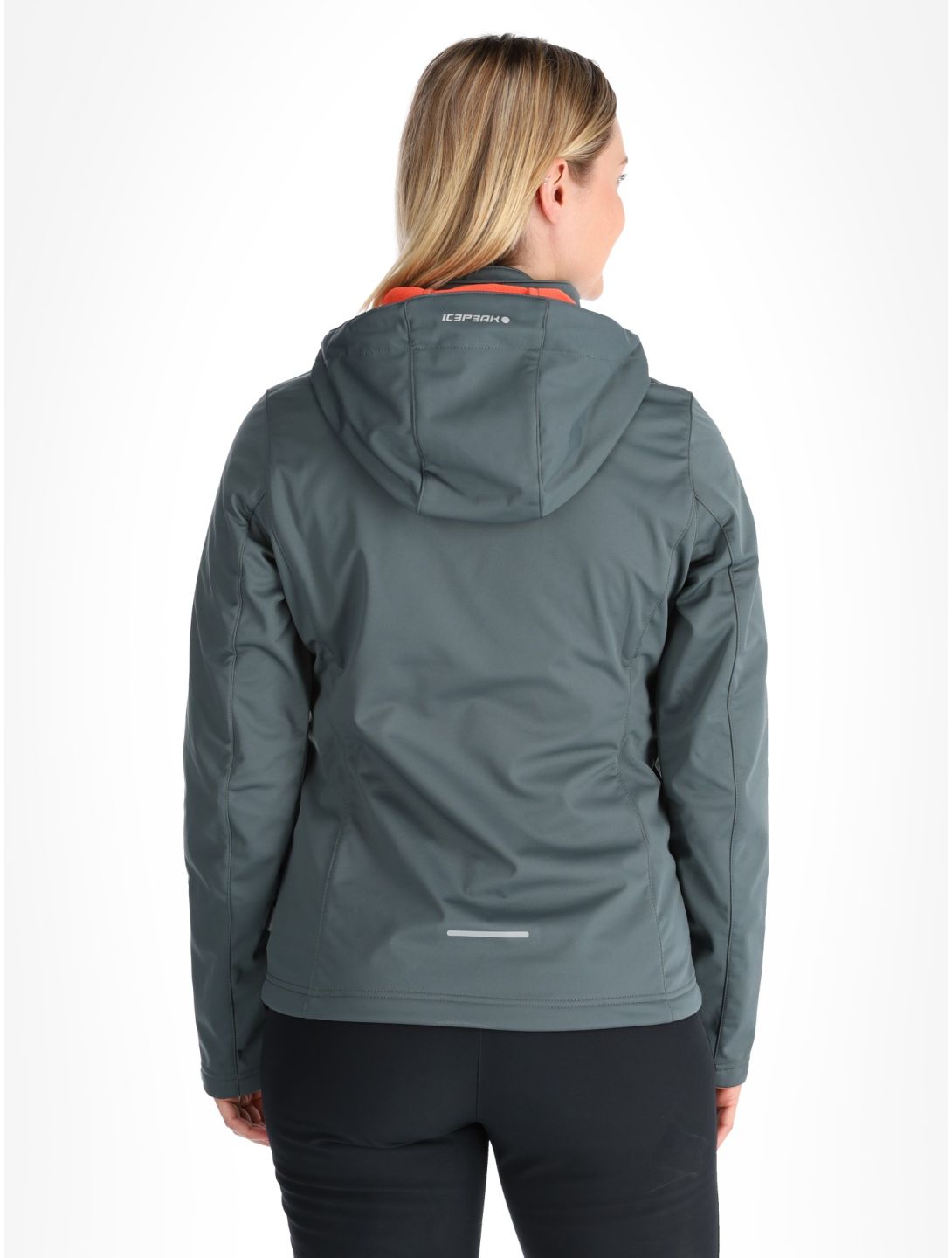 Icepeak, Boise softshell ski jacket women Green green 