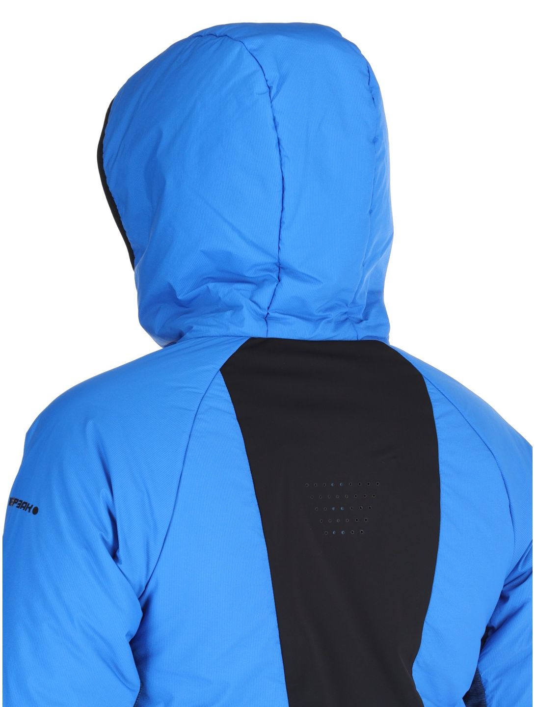 Icepeak, Danbury down jacket men Blue blue 