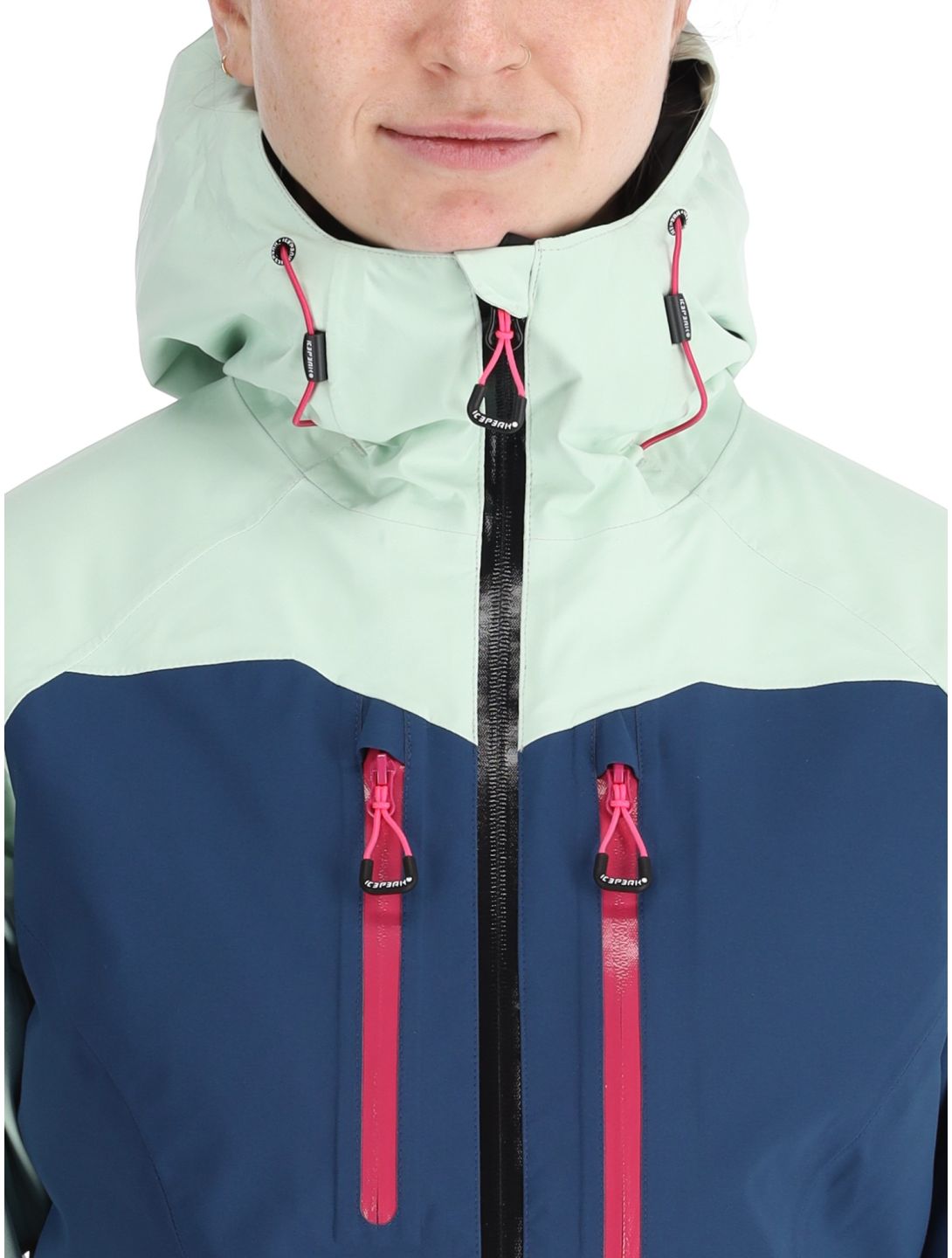 Icepeak, Datteln hardshell ski jacket women Aloe green 