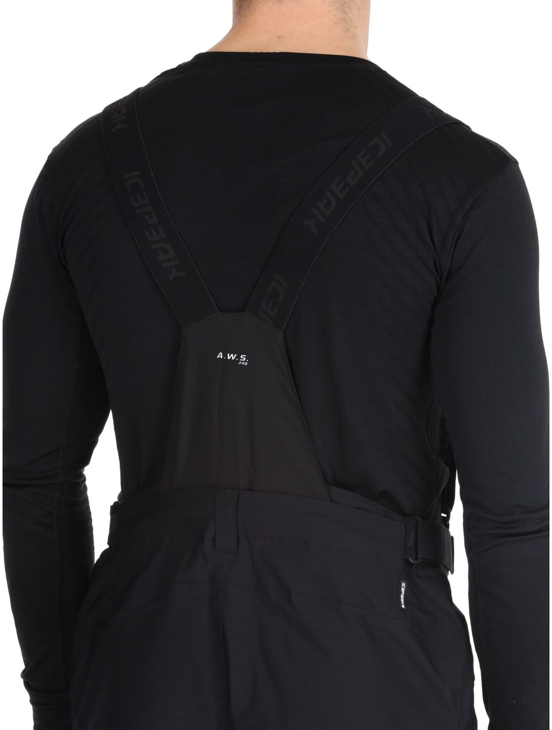 Icepeak, Farley hardshell ski pants men Black black 