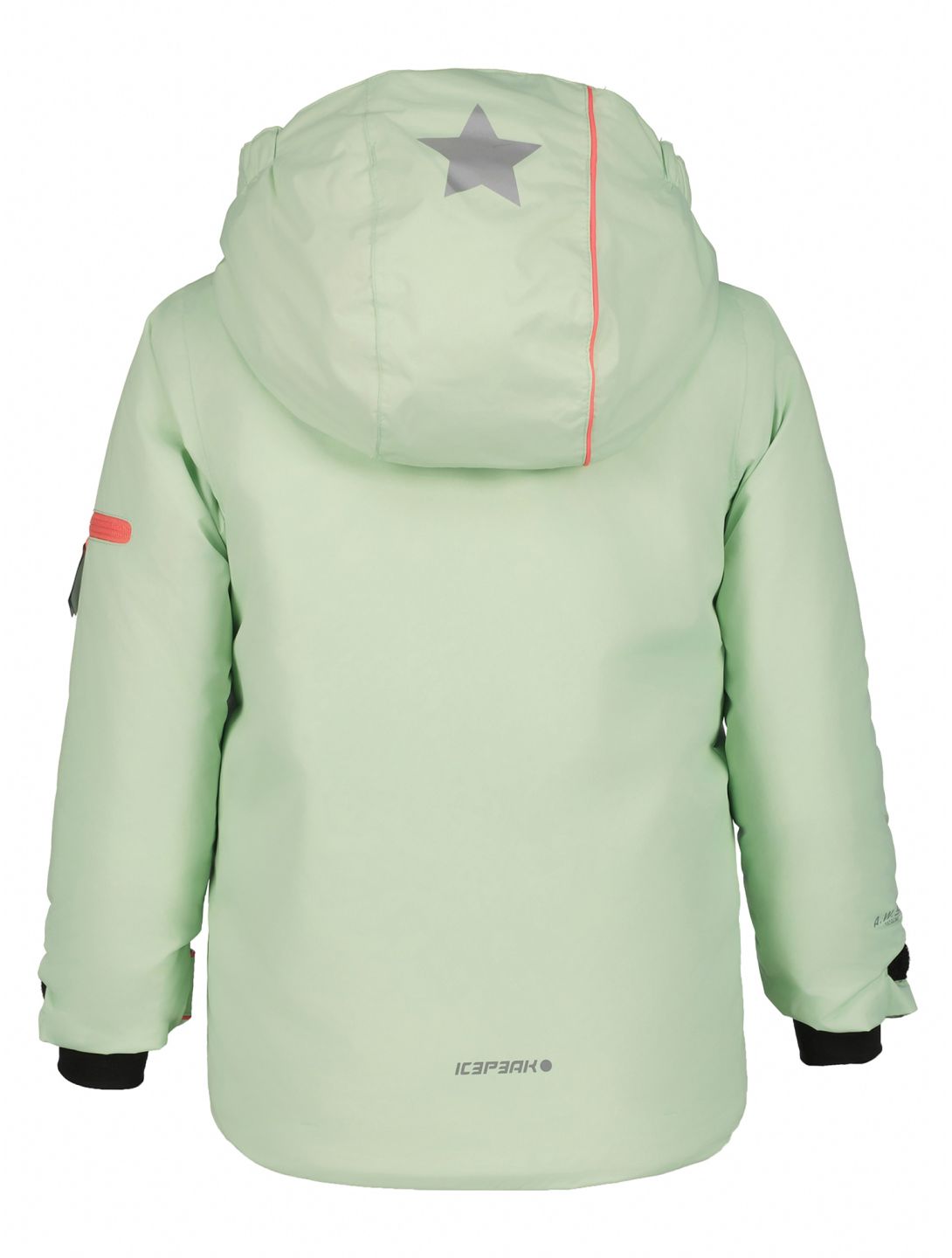 Icepeak, Jian KD ski jacket kids Aloe green 