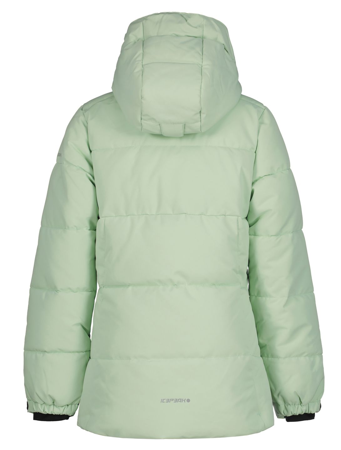 Icepeak, Loris JR ski jacket kids Aloe green 