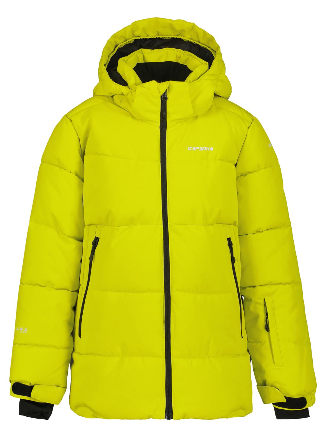 Icepeak, Louin JR ski jacket kids Aloe green 