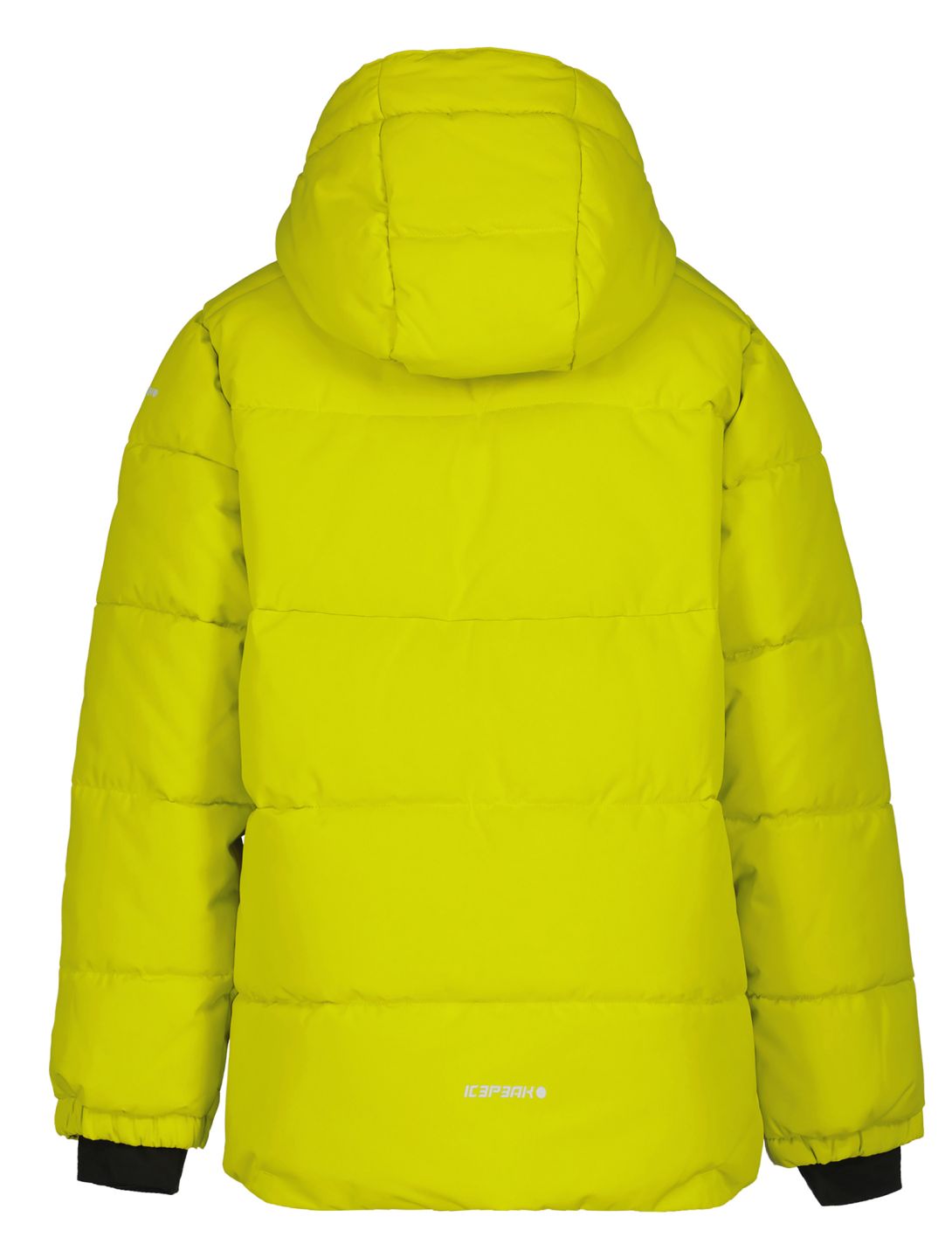 Icepeak, Louin JR ski jacket kids Aloe green 