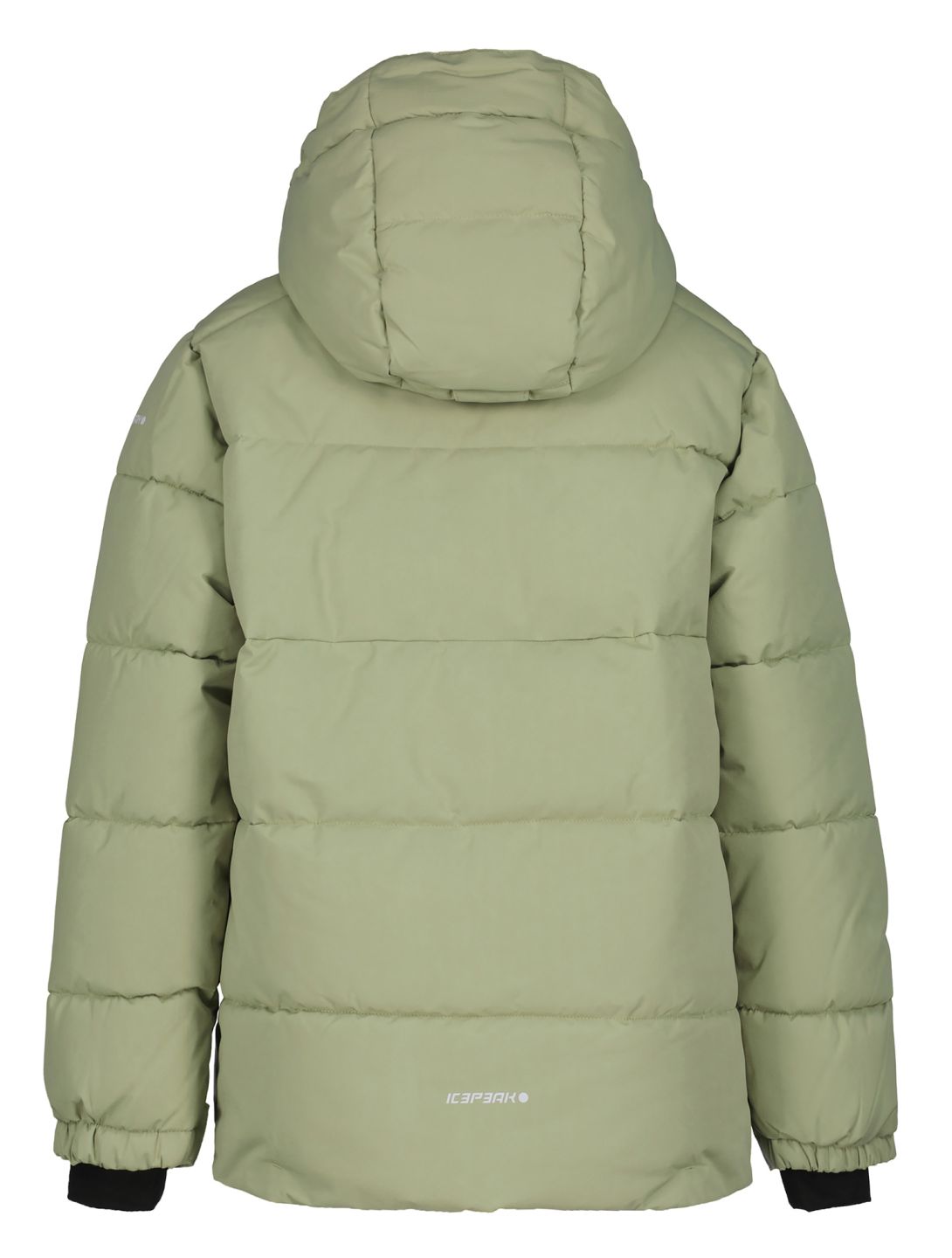 Icepeak, Louin JR ski jacket kids Asparagus green 