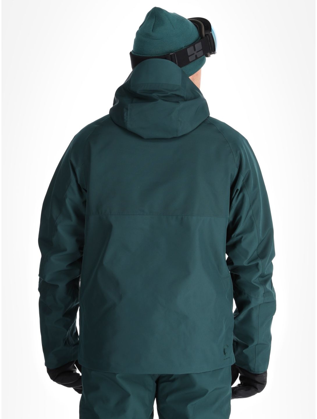 Picture, Goods ski jacket men Ponderosa Pine green 