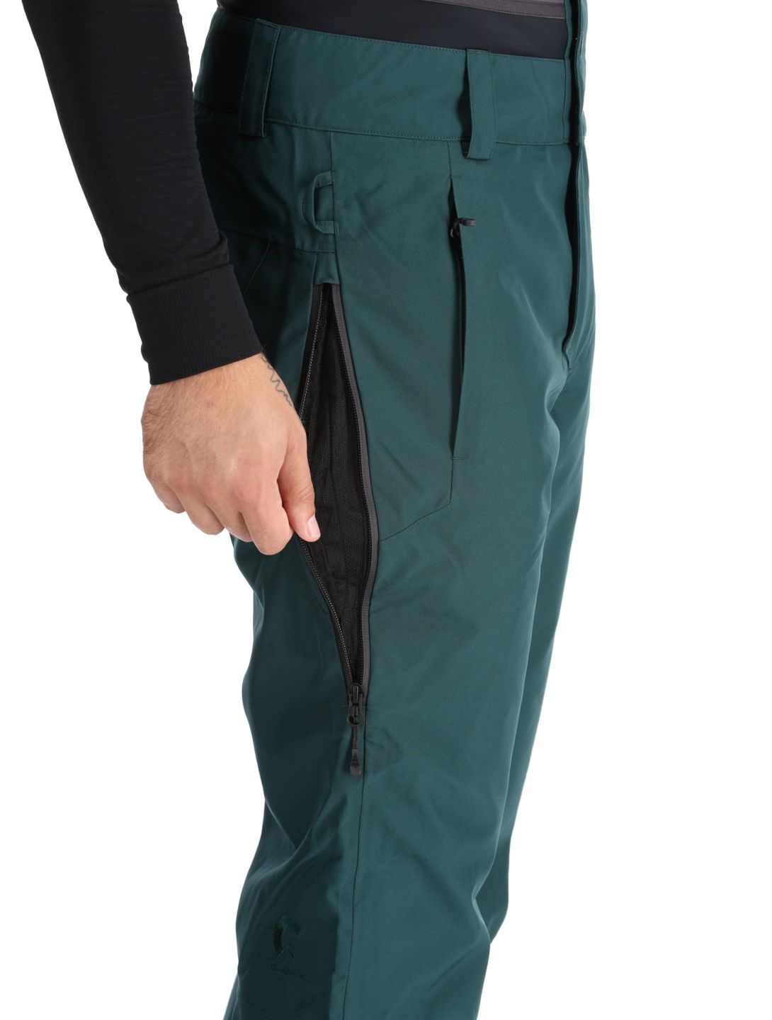 Picture, Object ski pants men Ponderosa Pine green 