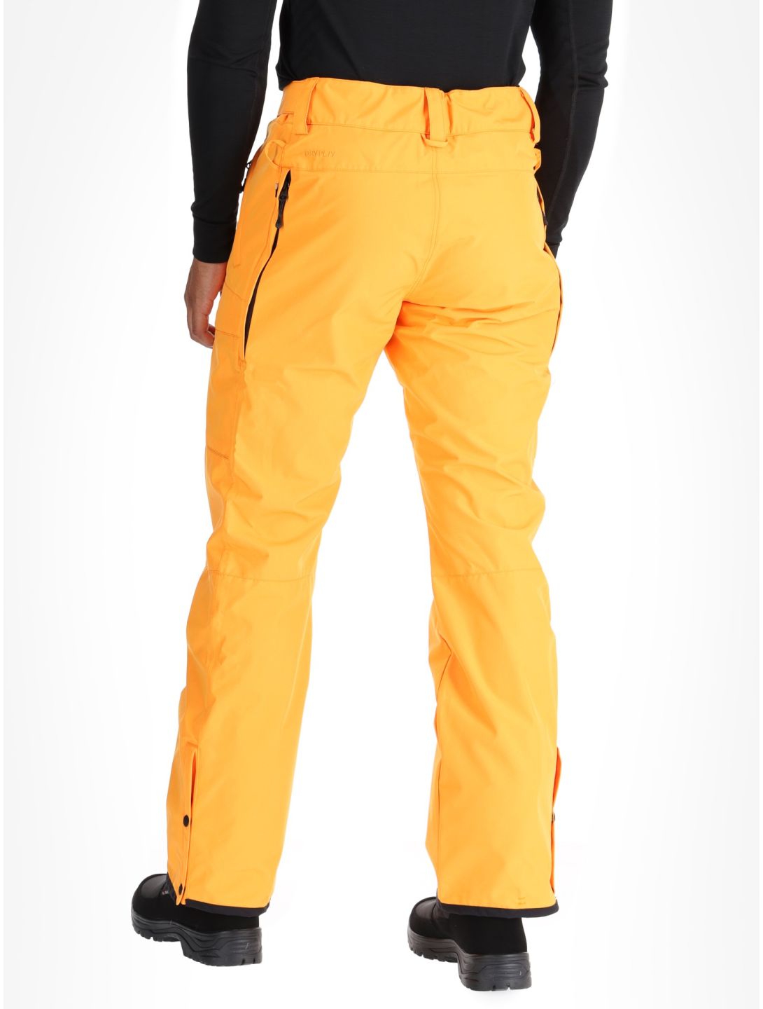 Picture, Plan ski pants men Carrot orange 