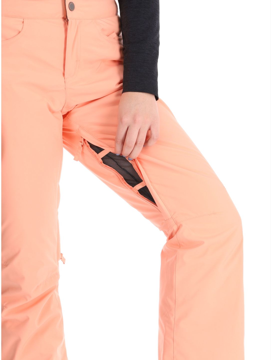 Roxy, Backyard ski pants women Peach Pink pink 