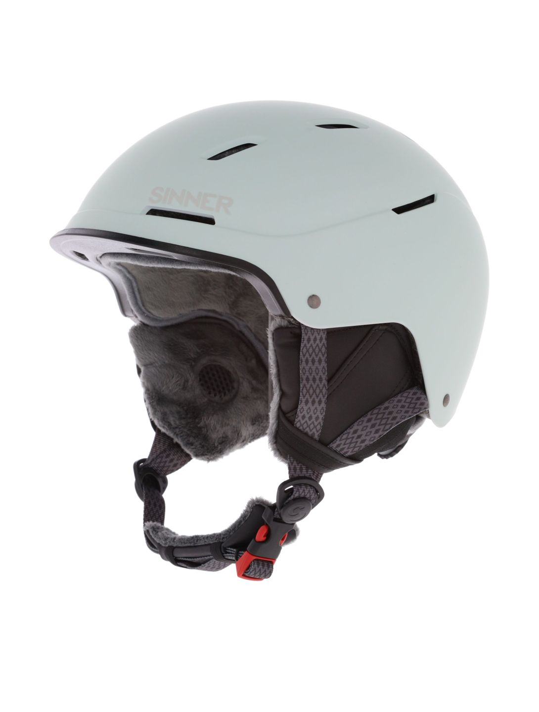 Sinner, Whistler ski helmet unisex Matt Light Mint green 