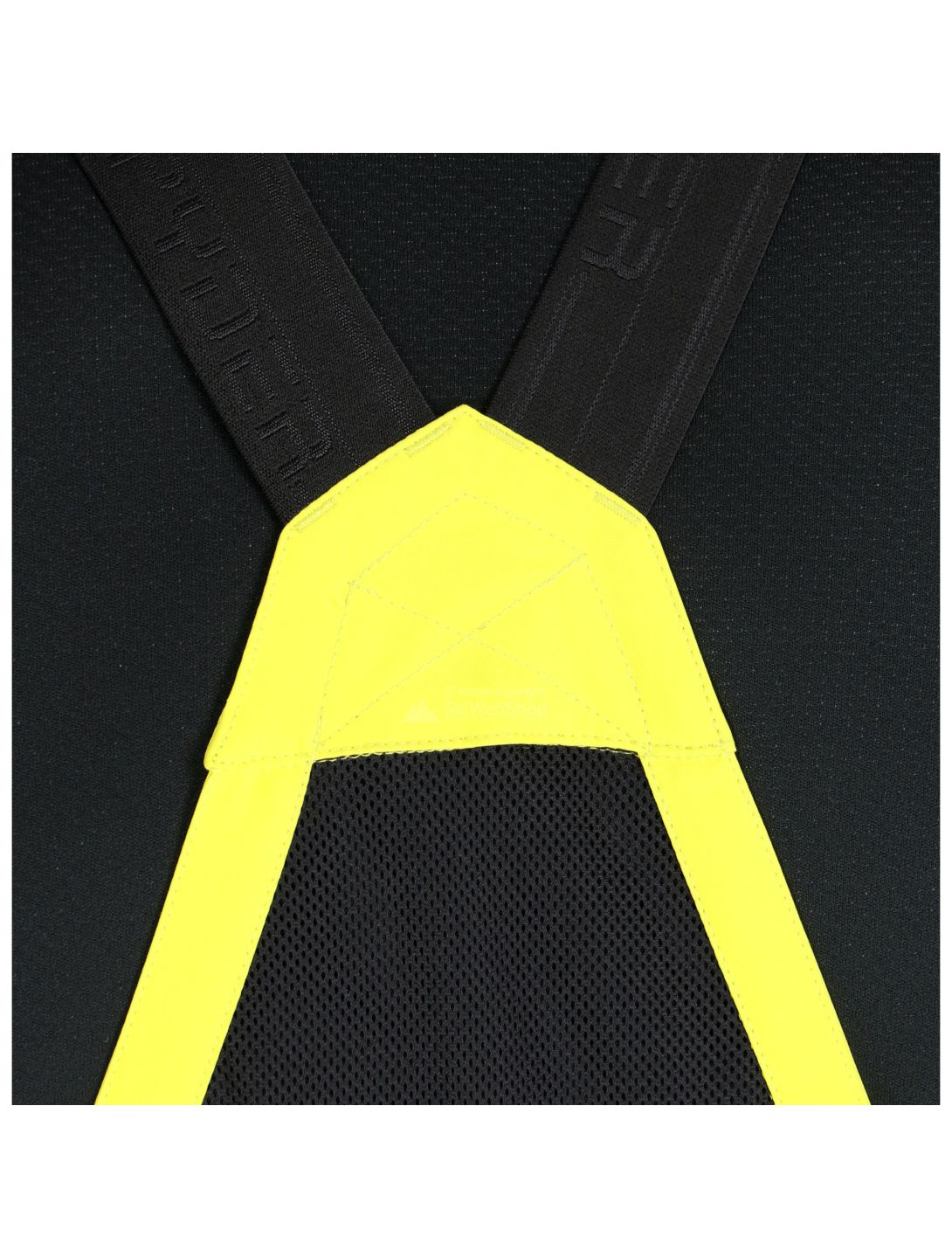 Spyder, Propulsion, ski pants, men, acid yellow