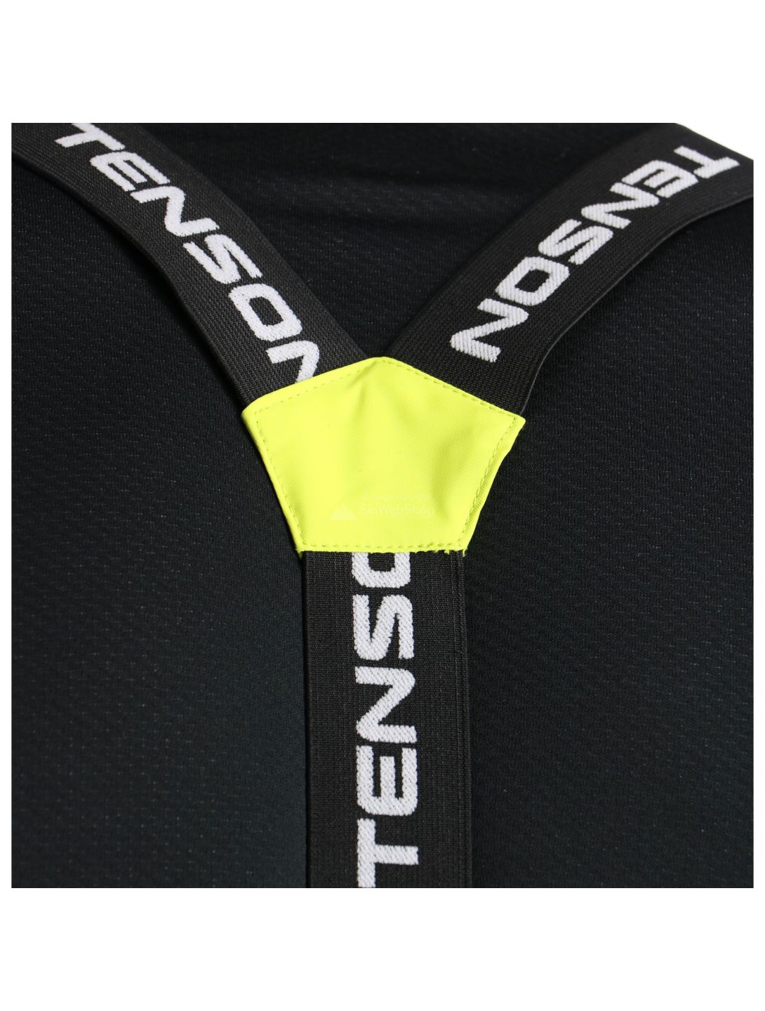 Tenson, Buck Race, ski pants, men, Light green